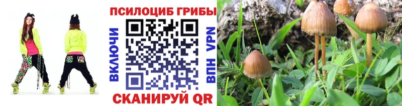 Псилоцибиновые грибы прущие грибы  blacksprut вход  Мегион 