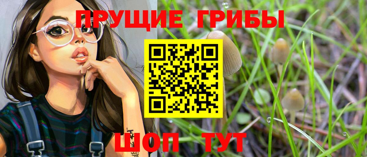 где найти наркотики  Галлюциногенные грибы ЛСД  Вход с VPN  Мегион  Псилоцибиновые грибы Cubensis 
