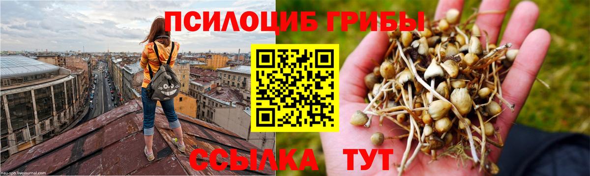 Галлюциногенные грибы Magic Shrooms Мегион